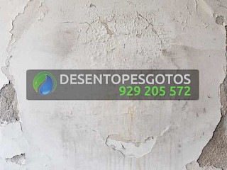 5 Dicas Essenciais para a Detecção de Fugas de Água