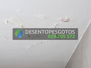 Como distinguir infiltrações estruturais e fugas de água